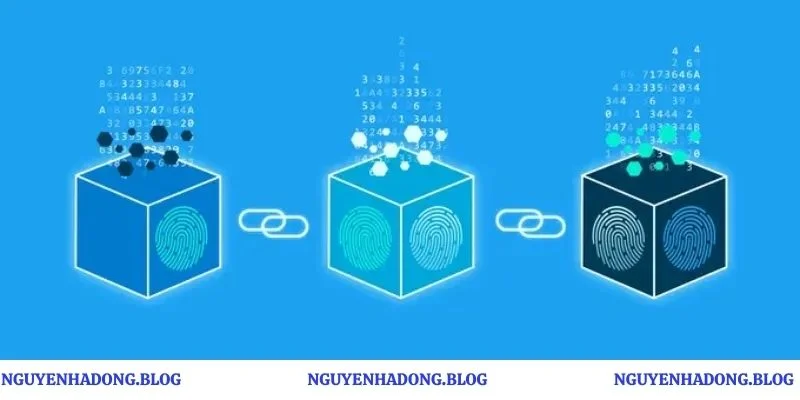 Nhìn Lại Flappy Bird Và Sự Im Lặng Cần Thiết